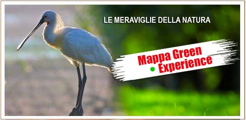 Circondarsi di natura